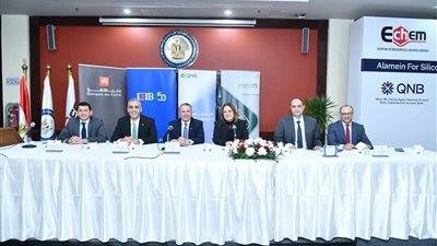 تحالف مصرفي يضم QNB مصر وCIB والقاهرة لتمويل العملين لمنتجات السيليكون