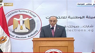أحمد بنداري:أعمال الاقتراع انتهت في 31 مقرا انتخابيا من تصويت المصريين بالخارج