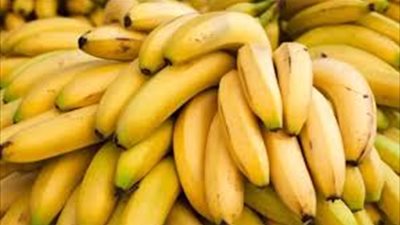 الموز البلدي بكام؟.. أسعار الموز في أول يوم لسنة 2026