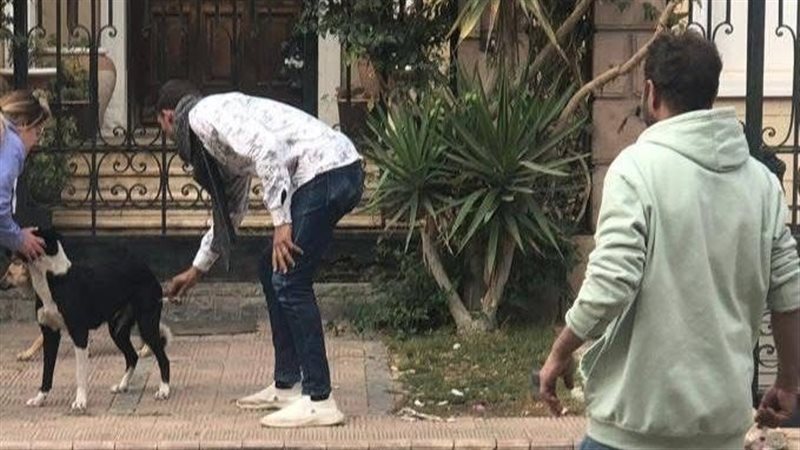 حملة لتطعيم الكلاب