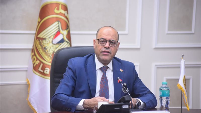   وزير العمل محمد
