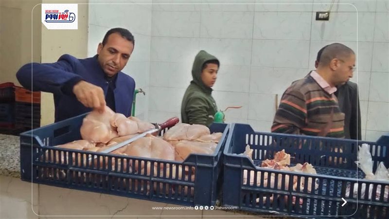 تموين المنيا 