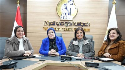 القومي للمرأة يصدر تقرير اليوم الـ2 لجولة الإعادة بانتخابات النواب بالدوائر 19