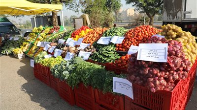قبل افتتاح سوق اليوم الواحد بإمبابة.. تعرف على أبرز أنواع السلع