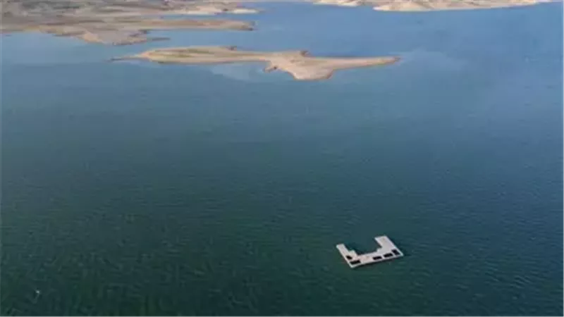 صورة موضوعية