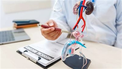 ماذا يأكل مريض تضخم البروستاتا؟ أطعمة تحميك من المضاعفات
