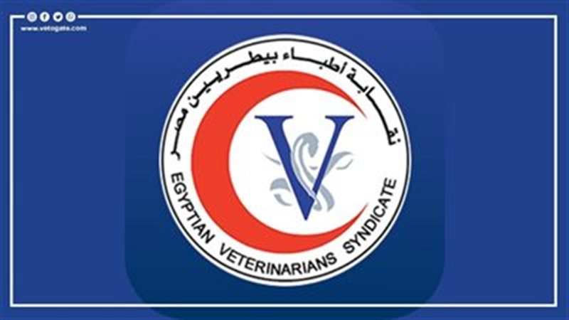 نقابة البيطريين 
