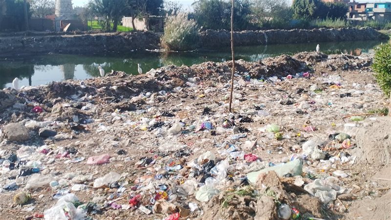 طريق بنها القناطر