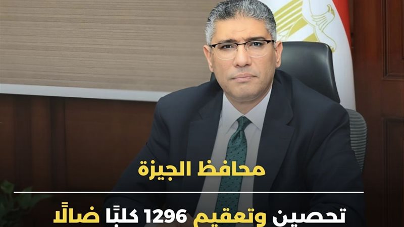  المهندس عادل النجار