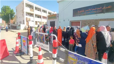 مشاركة ملحوظة بجولة الإعادة لانتخابات النواب بالدائرة الثانية بالوادي الجديد