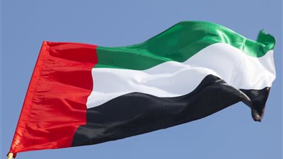 عاجل.. الإمارات تدعو اليمنيين لتغليب الحكمة وضبط النفس ووقف التصعيد