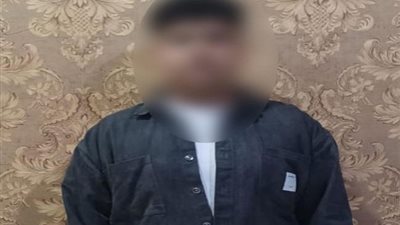 بحوزته كروت دعاية انتخابية لصالح مرشح.. ضبط شخص بالبحيرة