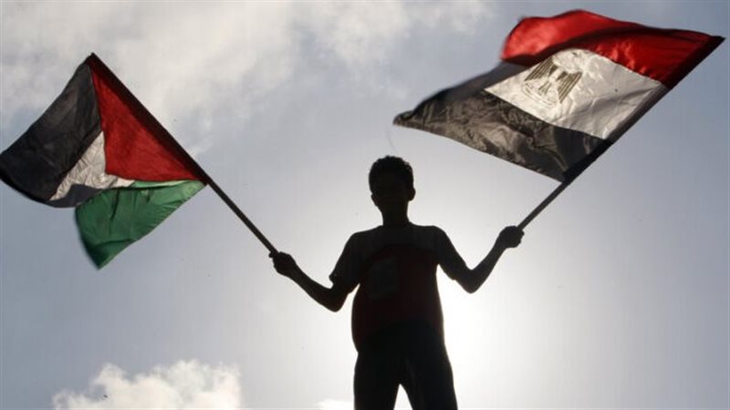 أرشيفية 