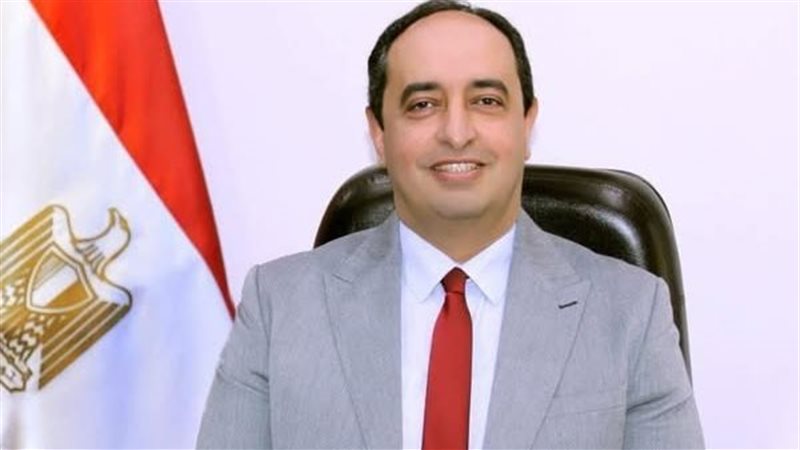 د. عمرو عثمان