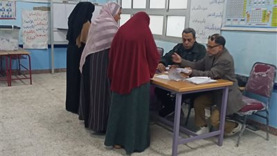 استمرار توافد الناخبين بالبحيرة في اليوم الأول لإعادة انتخابات مجلس النواب