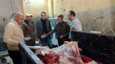 محافظ المنوفية: ضبط سلخانة مخالفة منوف وربع طن لحوم مذبوحة خارج المجازر 