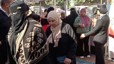 إقبال ملحوظ من المواطنين على لجان إعادة انتخابات النواب بالجيزة وسط إجراءات مش