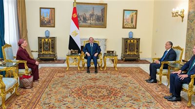 السيسي يستقبل ياسمين فؤاد لدعم الجهود الدولية لتحقيق التنمية المستدامة