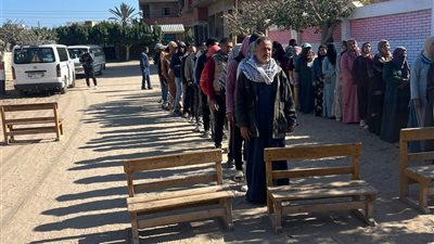 توافد كثيف للناخبين على لجان الإعادة في دوائر البحيرة الأربع