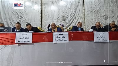 بالأرقام نتائج  الحصر العددي لأصوات الناخبين بالدائرة الثالثة بالفيوم 