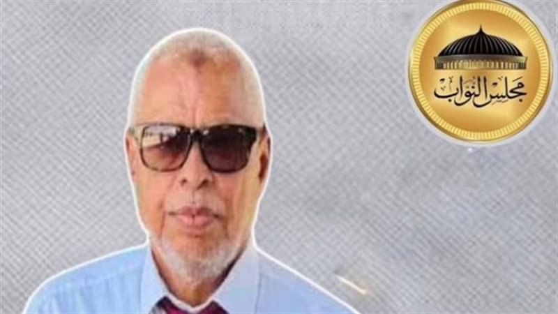 المهندس احمد رمضان