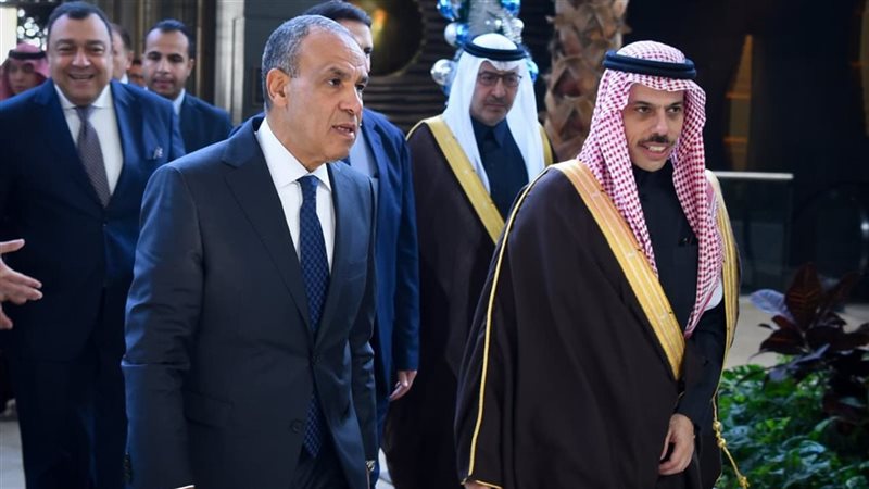 وزير الخارجية ونظيره
