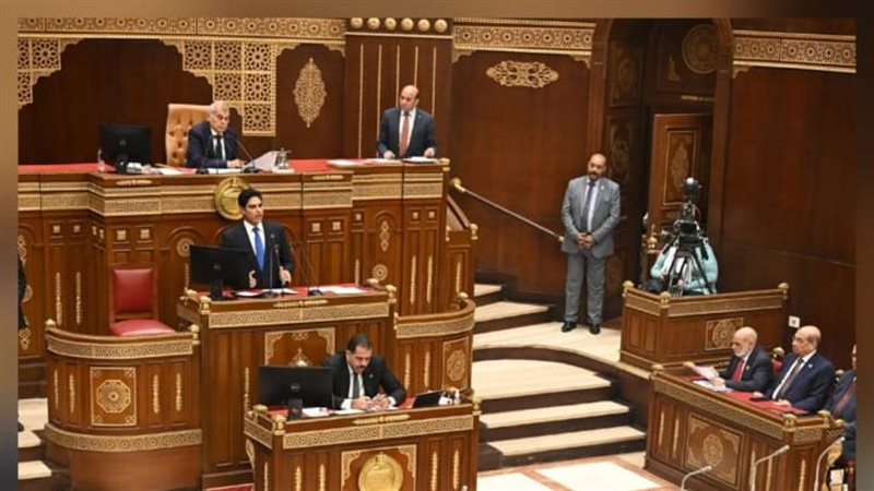  مجلس الشيوخ 