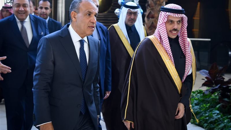 وزير الخارجية المصري