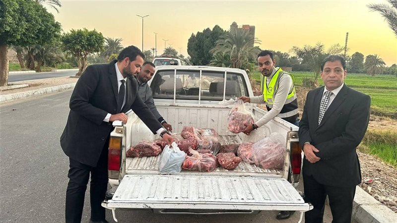 الدكتور طارق لطفي