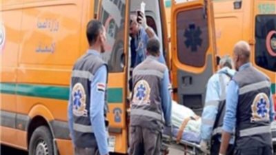 انقلاب ميكروباص في وادي النطرون يصيب 22 عاملا زراعيا بينهم 4 سودانيين