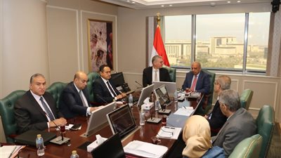 وزيرا الكهرباء والبترول يستعرضان خطة تأمين الطاقة الصيف المقبل