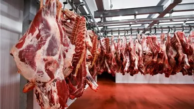 تراجع أسعار اللحوم الطازجة محليًا مع انخفاض يومي وأسبوعي