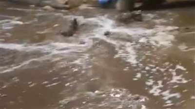 انفجار ماسورة صرف صحي يغرق شوارع ومنازل بقرية زاوية الناعورة بالمنوفية