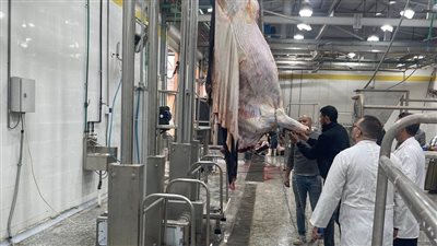التنمية المحلية تعلن التشغيل التجريبى لـ4 مجازر بالمنوفية والدقهلية وكفر الشيخ