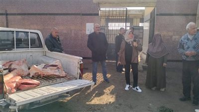 قبل طرحها للبيع.. إعدام نصف جاموسة غير صالحة للاستهلاك الآدمي داخل مجزر قها