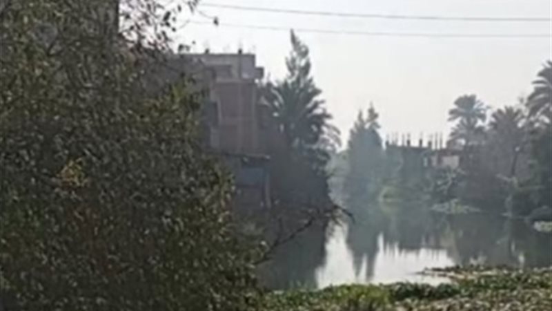جهود مكثفة من الإنقاذ