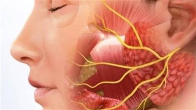التهابات العصب السابع..الأسباب والأعراض وطرق العلاج والتشخيص والوقاية الحديثة 