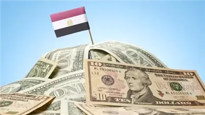 خفض الدين ليس حلما.. خبير اقتصادي يكشف خريطة التعافي
