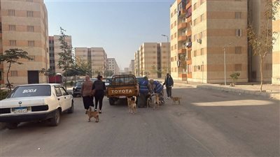 الزراعة تطلق منظومة وقائية متكاملة لحماية الصحة العامة والثروة الحيوانية 
