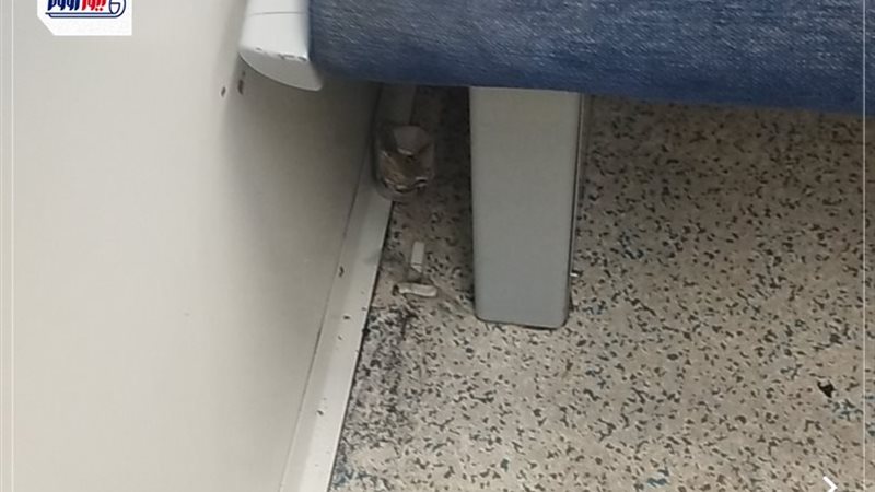 قطار قنا