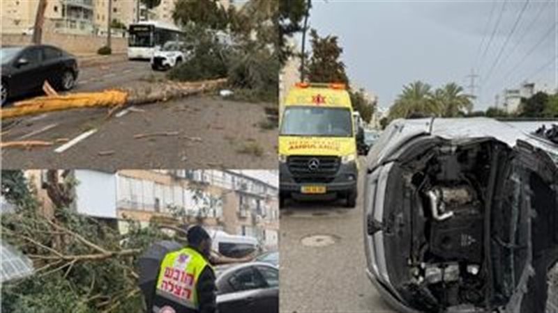 سقوط أشجار ووقع إصابات