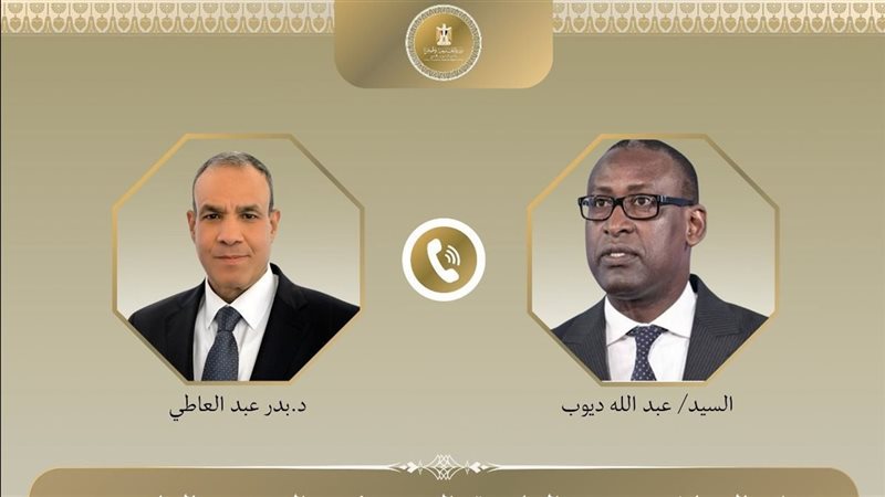 وزيرا خارجية مصر