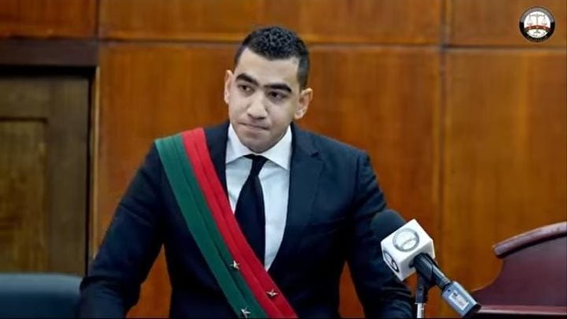 وكيل النيابة 