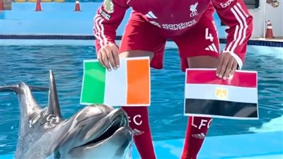 دولفين وبغباء وقط.. أغرب توقعات مبارات مصر وكوت ديفوار