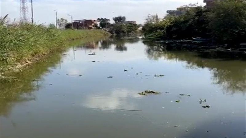 بعد 3 أيام. من البحث