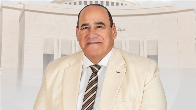 النائب نصحى البسنديلي،