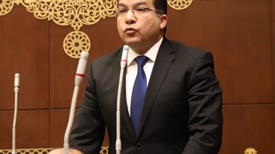 برلماني: أمن مصر والخليج جزء لا يتجزأ ووحدة الصف العربي ضرورة لمواجهة التوترات