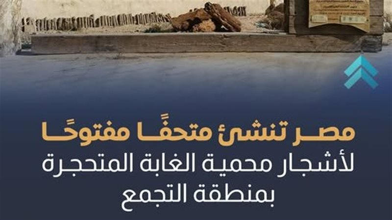 مصر تنشئ مفتحا مفتوحا