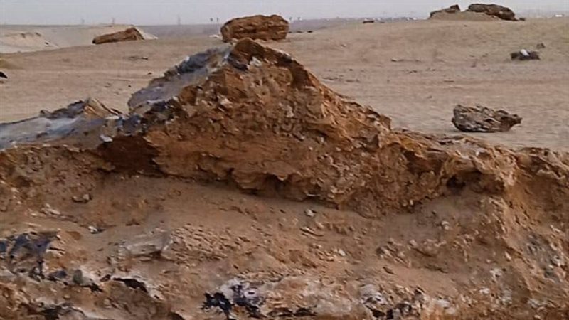 محمية الغابة المتحجرة