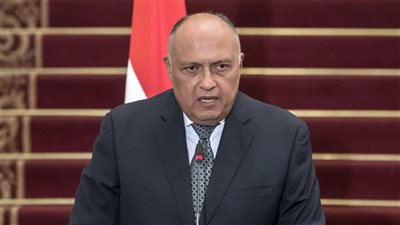 سامح شكري: الأمن القومي العربي جزء لا يتجزأ من أمن مصر